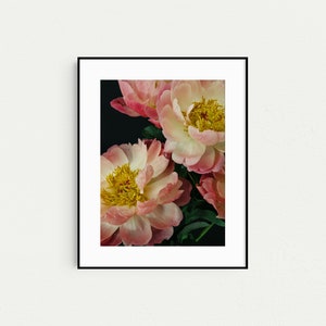 Peony Prints, Floral Boho Gallery Wall Art, Set of 3 Prints, Botanical Prints, Boho Decor, Pink Wall Art, Prints, Flower Photography image 4