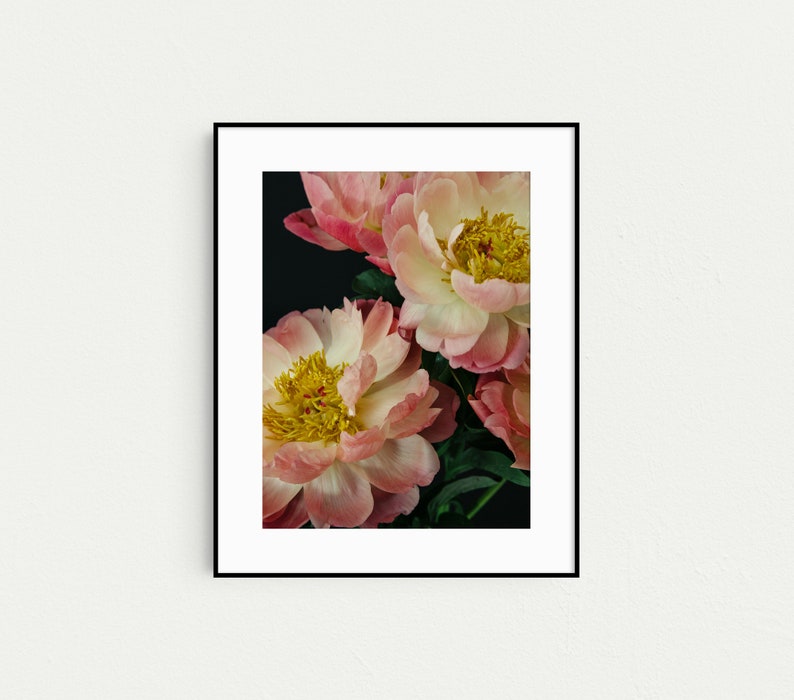 Peony Prints, Floral Boho Gallery Wall Art, Set of 3 Prints, Botanical Prints, Boho Decor, Pink Wall Art, Prints, Flower Photography image 4