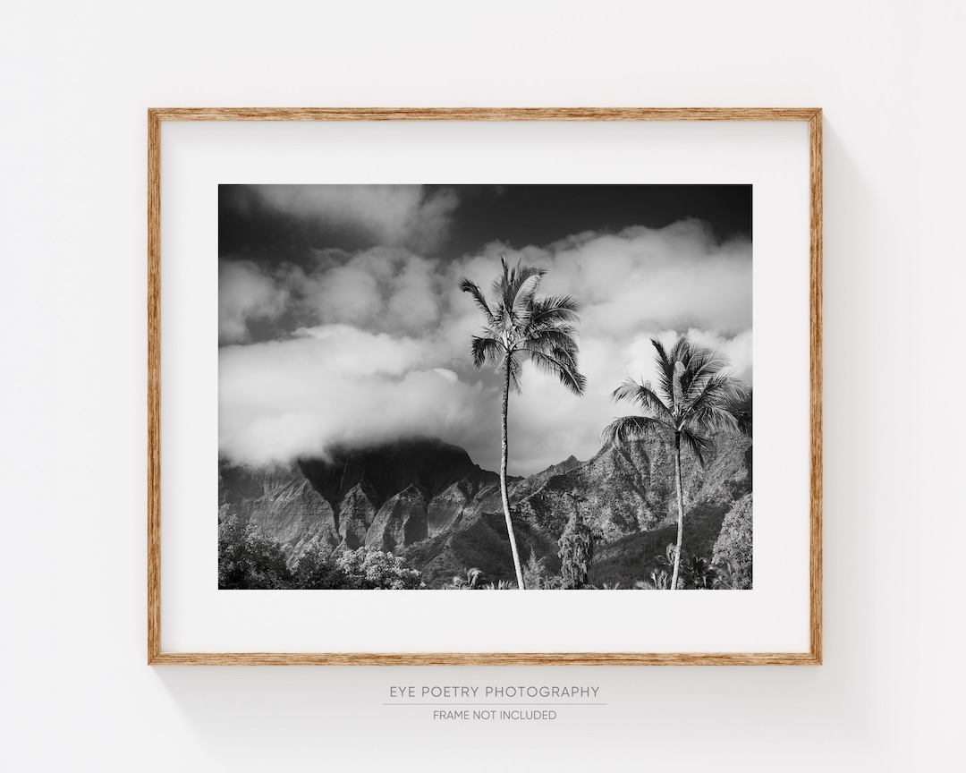 Hawaii Landscape Print, Fine Art Black and White Photography, Kauai ...