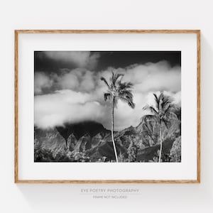 Hawaii Landscape Print, Fine Art Black and White Photography, Kauai Palm Trees, Tropical Wall Art image 1