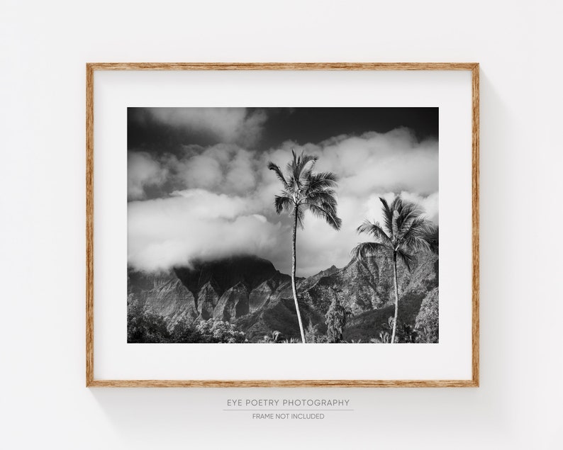 Hawaii Landscape Print, Fine Art Black and White Photography, Kauai Palm Trees, Tropical Wall Art image 1