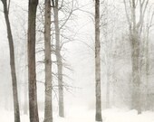 Snow photography, Minimal winter landscape photograph, Forest, Woodland, Snow, White, Trees - Shades of pale