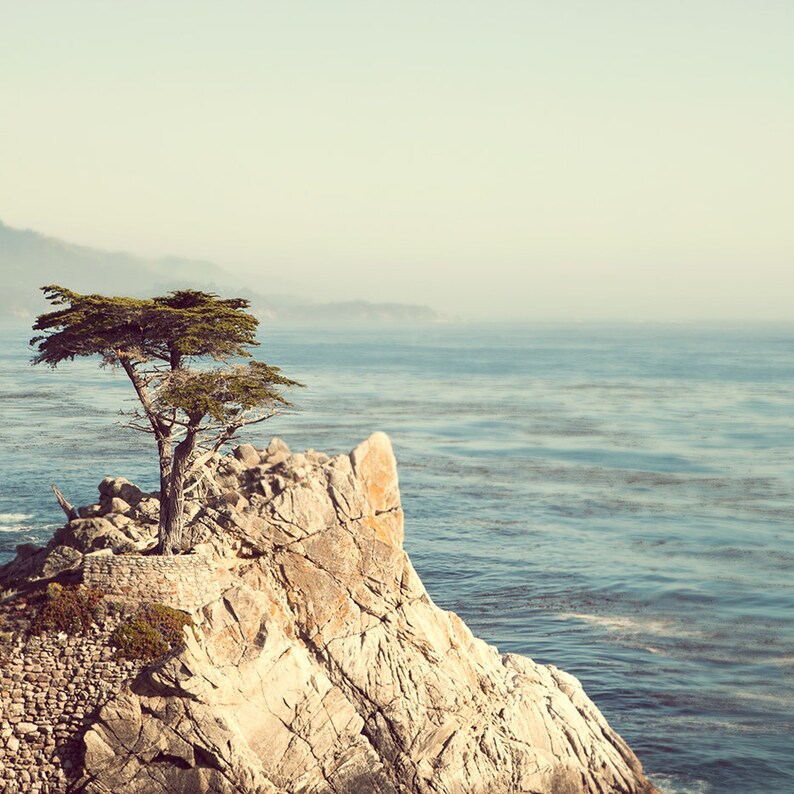 Big Sur California Wall Art Lone Tree California Coast Etsy