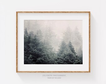 Foggy Forest Print, Nordic Print, Winter Landscape Photography, Hygge Decor, Cottagecore Woodland Nature Photography