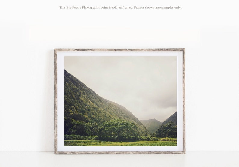 May include: A framed photograph of a lush green valley with a single large tree in the foreground. The sky is overcast and the mountains are covered in foliage.