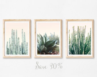 Cactus Prints, Boho Wall Art Set, 3 Piece Wall Art, Boho Decor, Botanical Prints, Bedroom Decor Women, Cactus Photography Prints