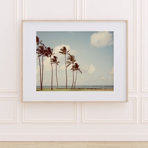 Palm Tree Print, Hawaii Travel Photography, Living Room Art Print, Beach Decor, Beach Wall Art, Tropical Wall Decor, Home Decor image 4