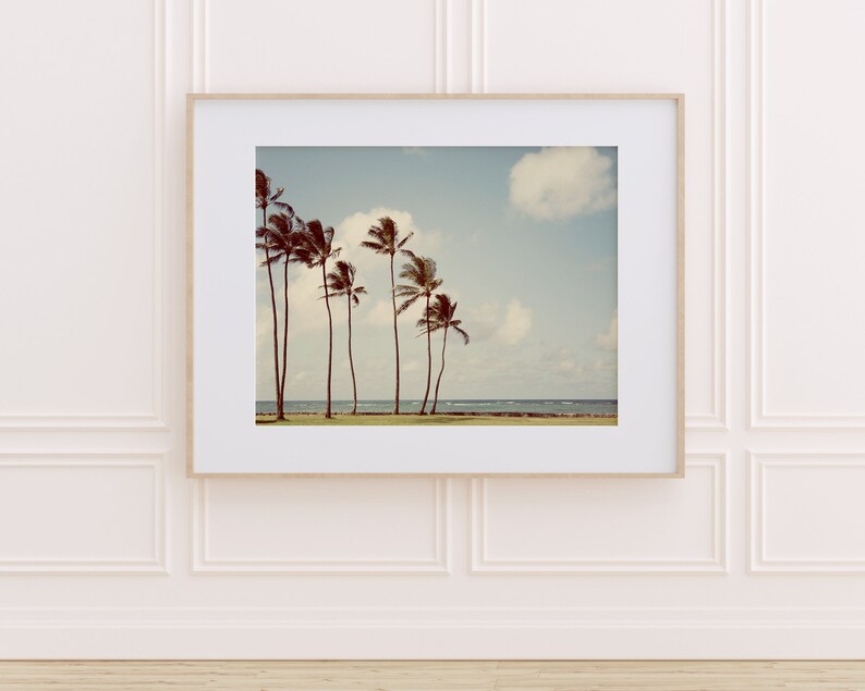 Palm Tree Print, Hawaii Travel Photography, Living Room Art Print, Beach Decor, Beach Wall Art, Tropical Wall Decor, Home Decor image 4
