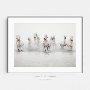 Horse Photography, Large Wall Art Print, Horse Print, Nature Photography, White Horses Running in Water, Fine Art Print, Large Art image 9