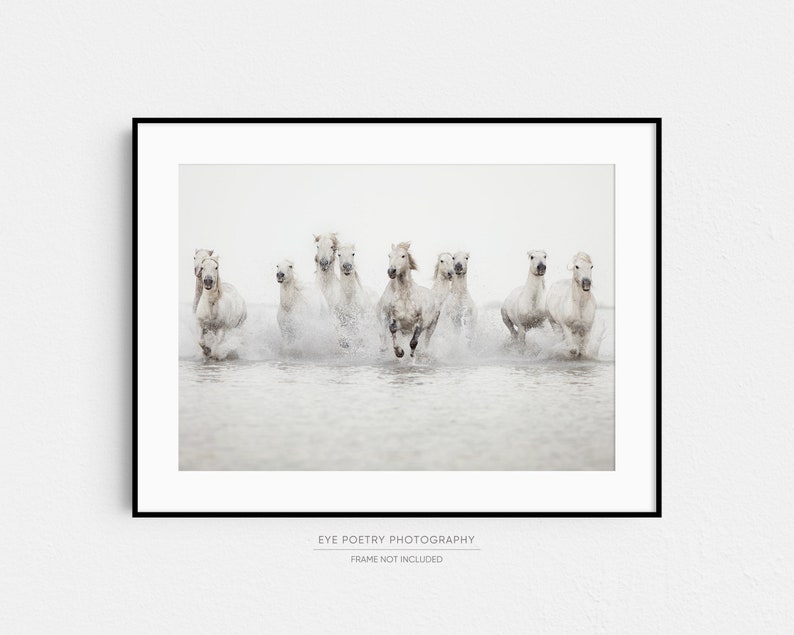 Horse Photography, Large Wall Art Print, Horse Print, Nature Photography, White Horses Running in Water, Fine Art Print, Large Art image 9