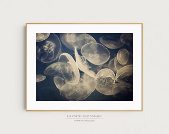 Jellyfish Art, Nature Photography, Navy Blue Wall Art, Nature Print, Wall Decor, 8x10 to 20x24 Photography Print