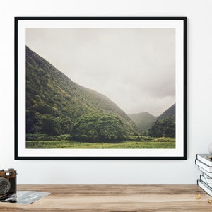 May include: A framed photograph of a lush green valley with a single tree in the foreground. The valley is surrounded by mountains and the sky is overcast.