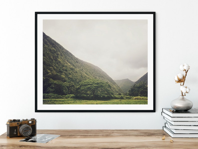May include: A framed photograph of a lush green valley with a single tree in the foreground. The valley is surrounded by mountains and the sky is overcast.