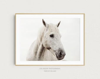 White Horse Photo, Nature Photography Print, Horse Art, Neutral Wall Art, Minimalist Wall Art Print, Fine Art Photography, Large Art
