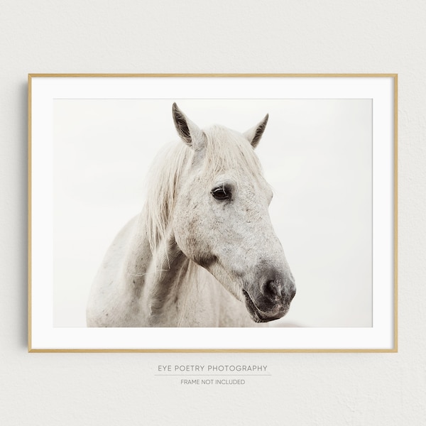 White Horse Photo, Nature Photography Print, Horse Art, Neutral Wall Art, Minimalist Wall Art Print, Fine Art Photography, Large Art