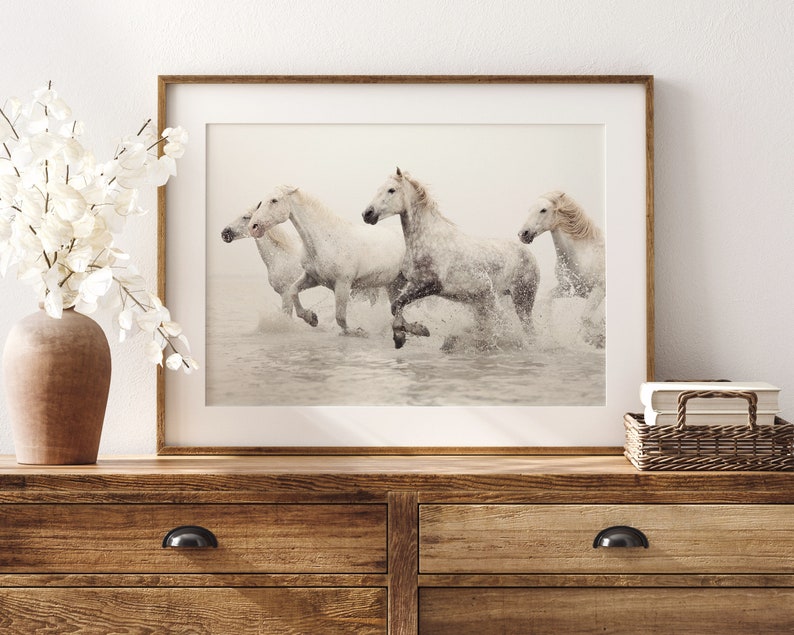 Horse Art, Nature Photography, Camargue Horse Print, White Wall Art, Nature Print, Fine Art Photography Print image 5