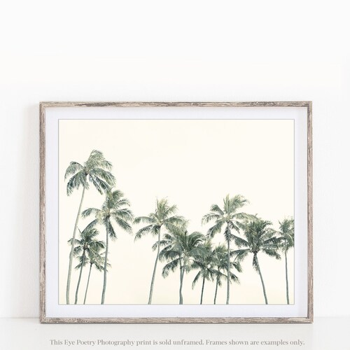 Palm Print Modern Tropical Decor Summer Beach Decor Palm - Etsy