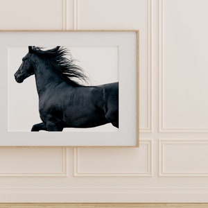 May include: A black horse with a flowing mane runs across a white background. The horse is in mid-stride, with its head turned to the side. The image is framed in a simple wooden frame.