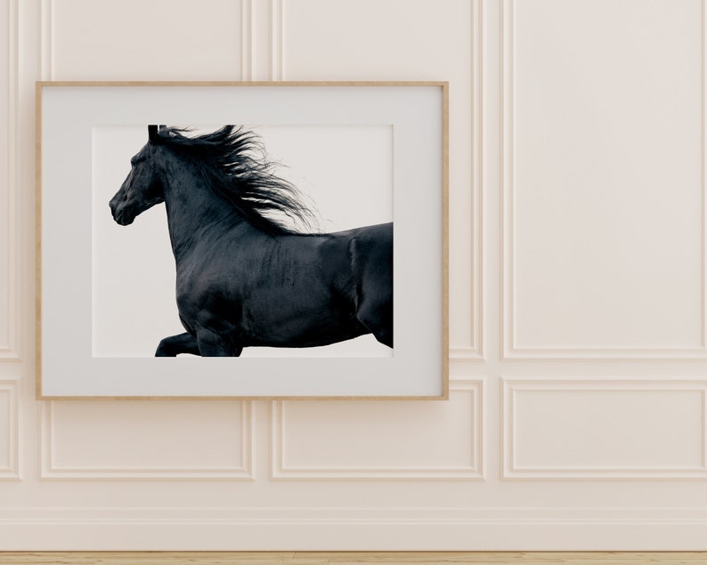 May include: A black horse with a flowing mane runs across a white background. The horse is in mid-stride, with its head turned to the side. The image is framed in a simple wooden frame.