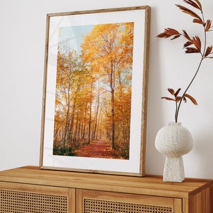 Autumn Forest Print, Rustic Landscape Photography, Fall Decor, Living Room Wall Art, Orange Red Fall Foliage, Nature Photography