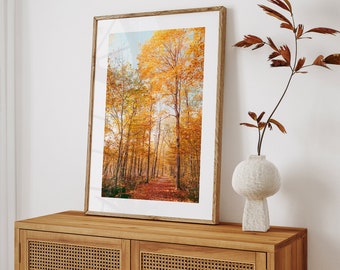 Autumn Forest Print, Rustic Landscape Photography, Fall Decor, Living Room Wall Art, Orange Red Fall Foliage, Nature Photography