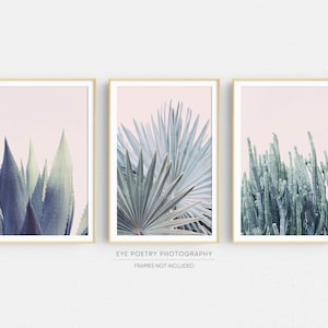 Impresiones de cactus, arte de pared de galería boho, juego de 3 impresiones, impresiones botánicas, decoración boho, arte de pared rosa, impresiones, fotografía de plantas