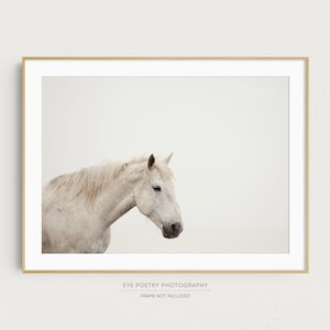 White Horse Photography, Minimalist Wall Art, Nature Photography Print, Scandinavian Art, Minimalist Decor, Fine Art Photography