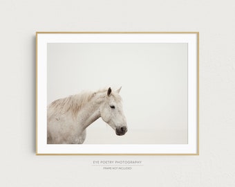 May include: A white horse with a light brown mane stands in a field with a white background. The horse is looking down and to the left. The image is in a gold frame.