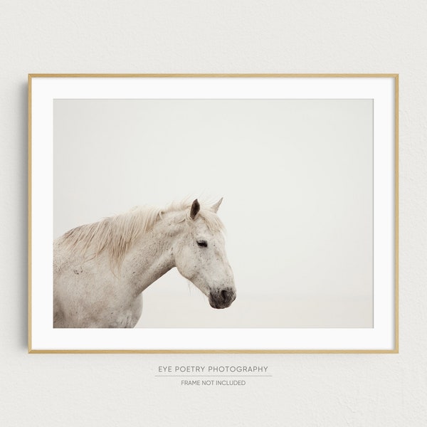 White Horse Photography, Minimalist Wall Art, Nature Photography Print, Scandinavian Art, Minimalist Decor, Fine Art Photography