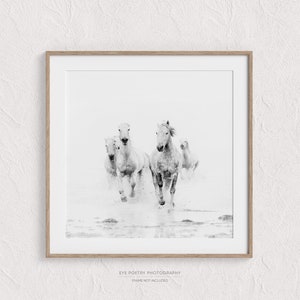 Horse Art, Black and White Prints, Nature Photography, Horse Photography Print, Horse Wall Art, Fine Art Prints image 5
