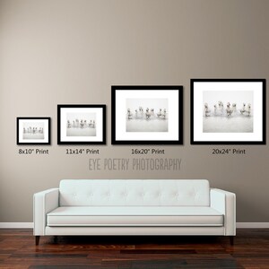 May include: Four different sizes of framed prints of a photograph of a group of dogs running through water. The prints are displayed on a wall with a white couch in front of them. The text "EYE POETRY PHOTOGRAPHY" is printed below the prints.