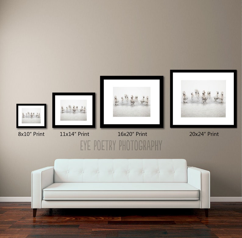 May include: Four different sizes of framed prints of a photograph of a group of dogs running through water. The prints are displayed on a wall with a white couch in front of them. The text "EYE POETRY PHOTOGRAPHY" is printed below the prints.