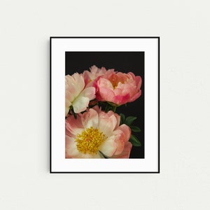 Peony Prints, Floral Boho Gallery Wall Art, Set of 3 Prints, Botanical Prints, Boho Decor, Pink Wall Art, Prints, Flower Photography image 6