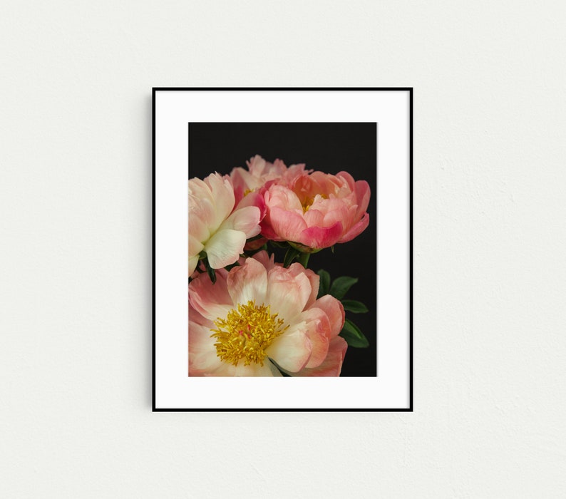 Peony Prints, Floral Boho Gallery Wall Art, Set of 3 Prints, Botanical Prints, Boho Decor, Pink Wall Art, Prints, Flower Photography image 6