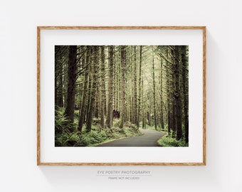 Forest Landscape Photography, Oregon Woodland Nature Photography, Rustic Decor, Tree Wall Art Print, Wall Decor