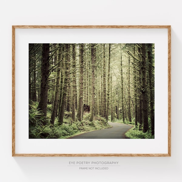 Forest Landscape Photography, Oregon Woodland Nature Photography, Rustic Decor, Tree Wall Art Print, Wall Decor