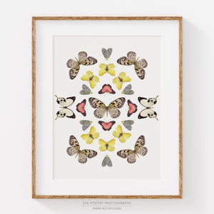 Butterfly Print, Nature Wall Art Prints, Butterfly Collection Photo, Vertical Giclee Print, Neutral Wall Decor, Modern Home Decor