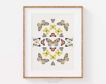 Butterfly Print, Nature Wall Art Prints, Butterfly Collection Photo, Vertical Giclee Print, Neutral Wall Decor, Modern Home Decor