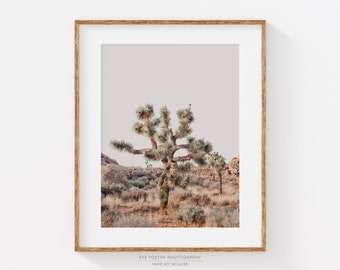 Joshua Tree Print, Boho Decor, Desert Print, Southwestern Landscape Photography, Neutral Cactus Wall Art Print, California Travel