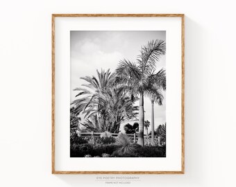 Palisades Park, Santa Monica California Wall Art, Black and White Prints, Palm Trees Photo, Los Angeles Travel Photography