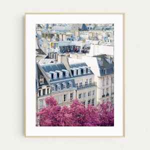 Paris Photography, Blossoming Pink Trees, Springtime in Paris Print, Fine Art Travel Photography, French Wall Decor