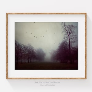 May include: A framed print featuring a misty landscape with a tree-lined path leading into the distance. Silhouetted trees and a flock of birds are visible against a muted, overcast sky. The print is in a wooden frame.