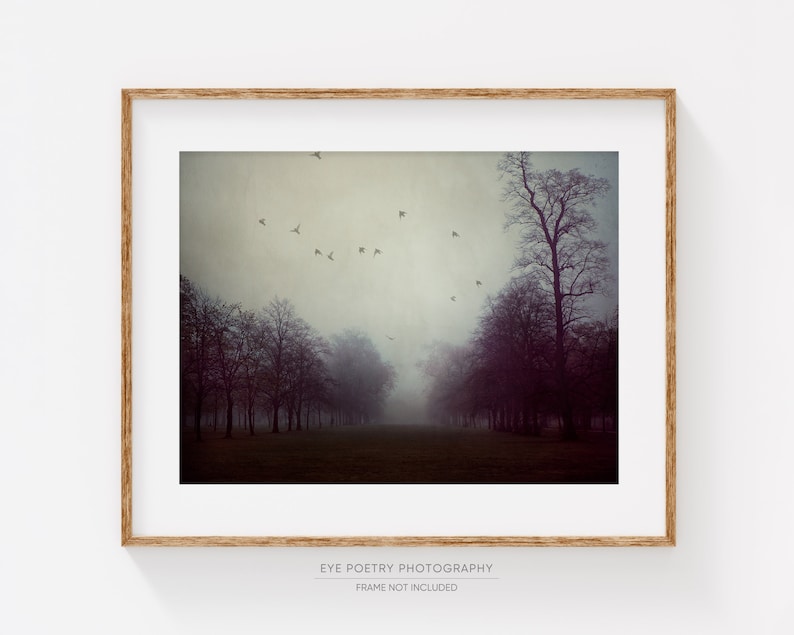 May include: A framed print featuring a misty landscape with a tree-lined path leading into the distance. Silhouetted trees and a flock of birds are visible against a muted, overcast sky. The print is in a wooden frame.