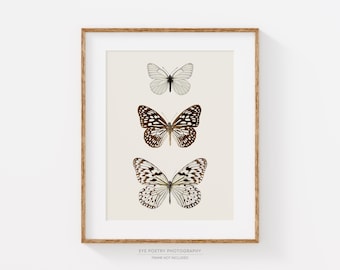 Butterfly Print, Nature Print, Wall Art Prints, Butterfly Art, Vertical Print, Minimalist Art, Neutral Wall Decor, Modern Home Decor