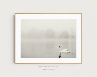 White Swan on a Foggy Lake, Nature Photography Prints, White Wall Art Print, Minimalist Wall Decor