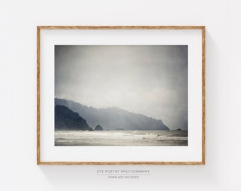 May include: A framed photograph of a misty, gray coastline with a dark green forested hillside in the background. The ocean waves are crashing on the sandy beach in the foreground.