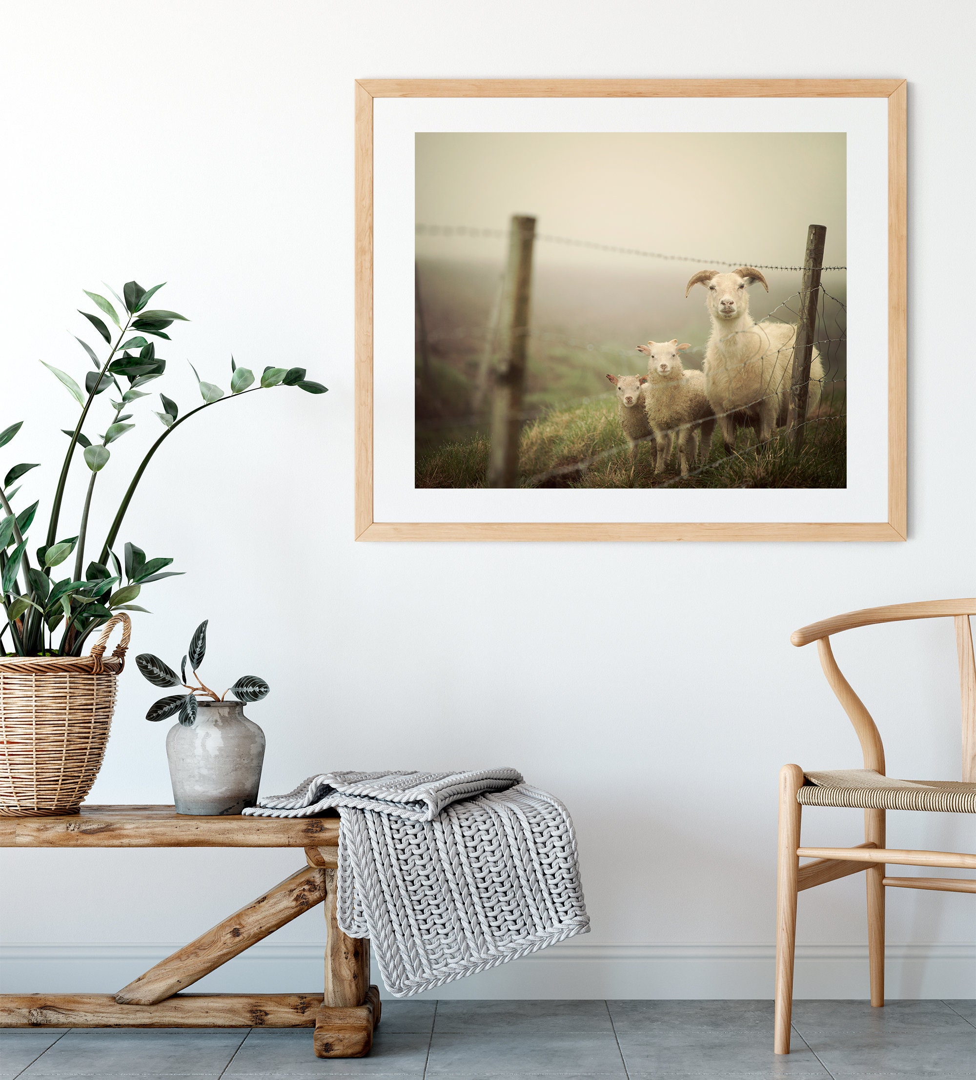 Sheep Print Rustic Nature Photography Print Rustic Decor | Etsy