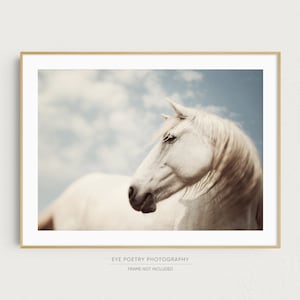 Horse Photography, Wild White Horse Portrait, Large Wall Art Print, Horse Art, 16x20 Fine Art Nature Photography Print image 1