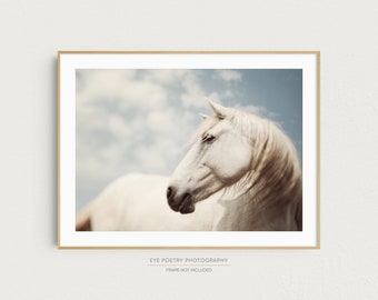 Horse Photography, Wild White Horse Portrait, Large Wall Art Print, Horse Art, 16x20 Fine Art Nature Photography Print