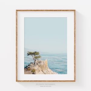 California Print, Lone Cypress Tree Photo, Monterey Coast, Big Sur Nature, Landscape Photography, Beach Wall Art, Ocean Print